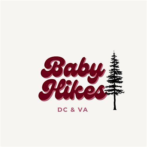 Baby Hikes - Arlington Cemetery