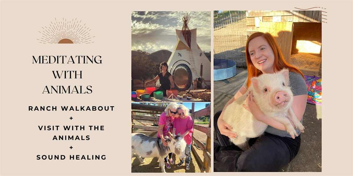 MEDITATING WITH ANIMALS : MEET BABY PIGS, GOATS, DONKEYS + SOUND HEALING