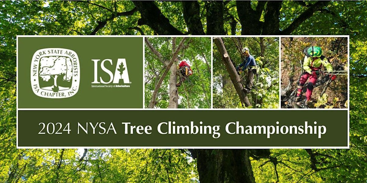 Tree Climbing Championship