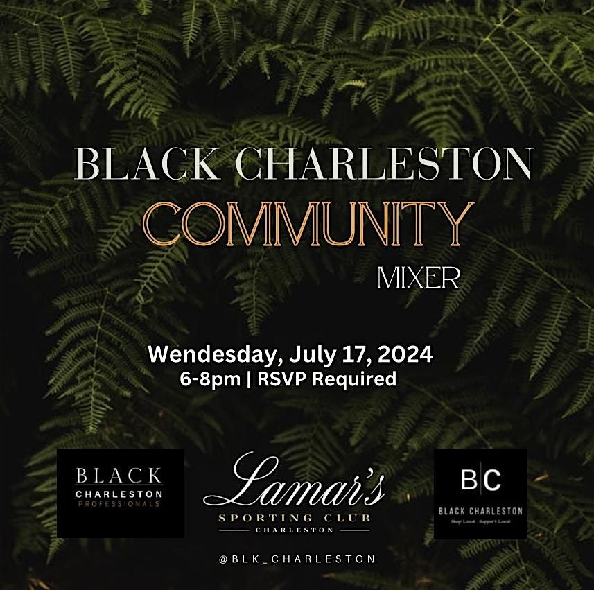 Black Charleston Community Mixer for Professionals