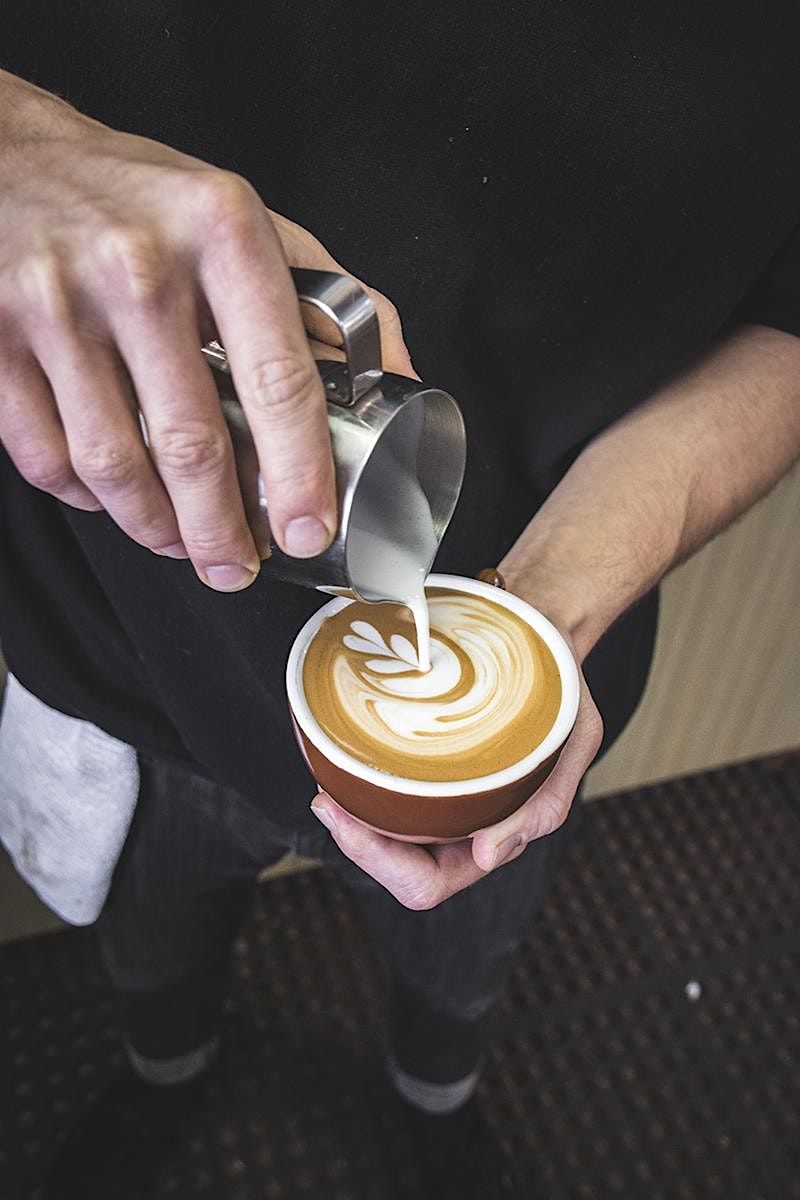 Copy of OZO Coffee | Latte Art