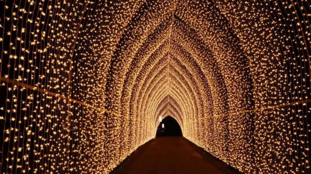 Sat, Dec 28  Oyster friendly Thames Path walk ending at Kew Garden's light trail