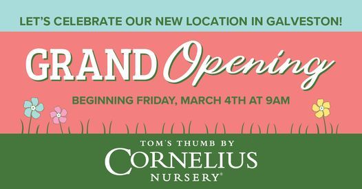 Tom's Thumb By Cornelius Nursery Grand Opening