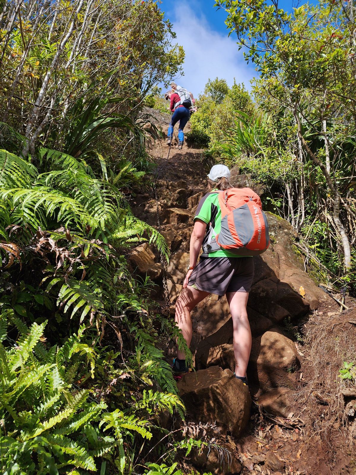 POWA to the tree - Women's only Guided Bush Walk