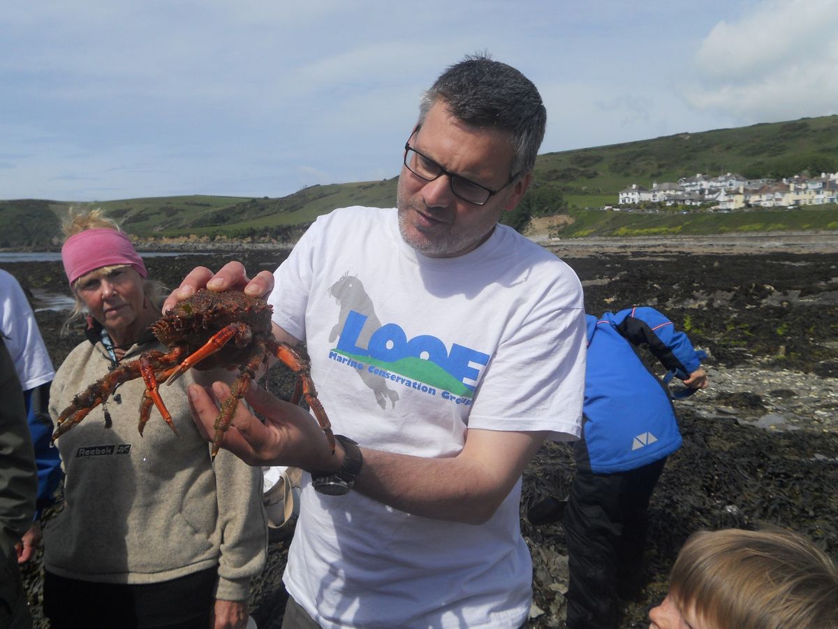 Autumn Rockpool Ramble