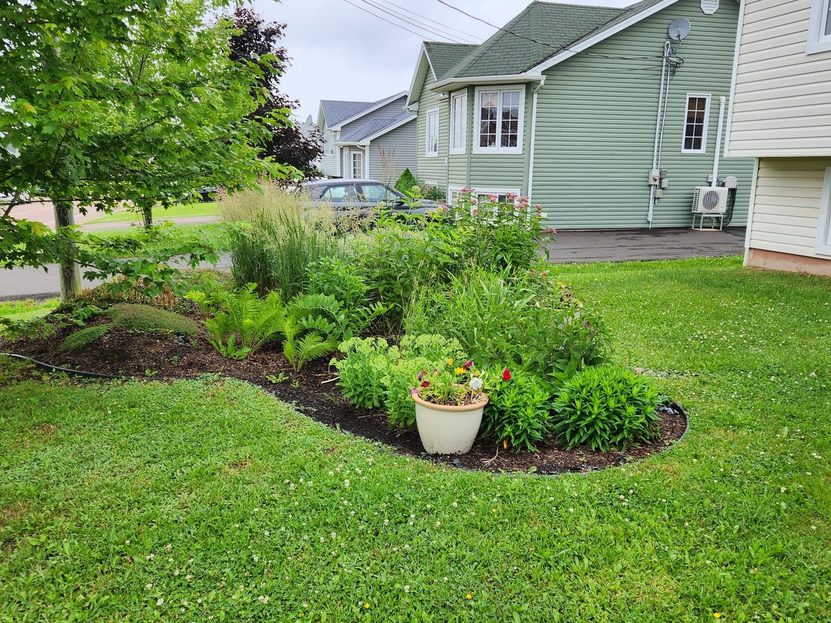 Rain Garden Workshop (English Session) FREE