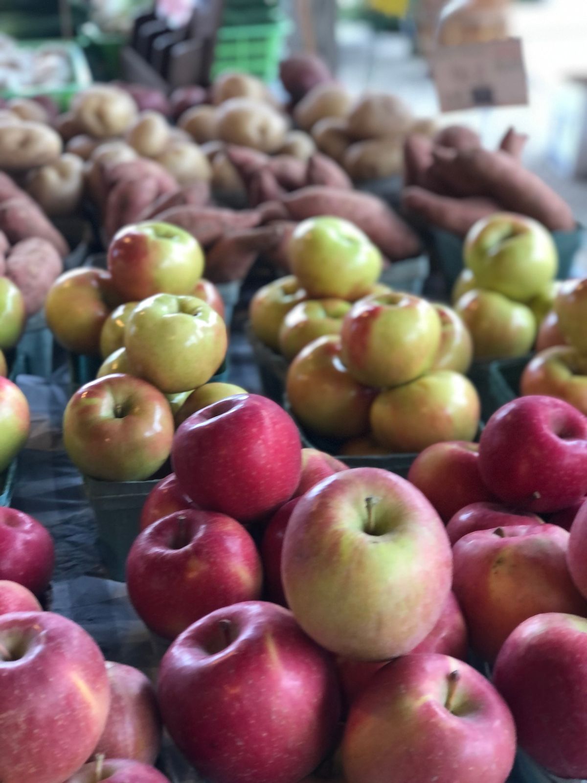 Winter Canning: Cinnamon Spiced Apples