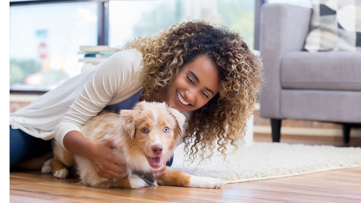 Adoption Event at Key Bank