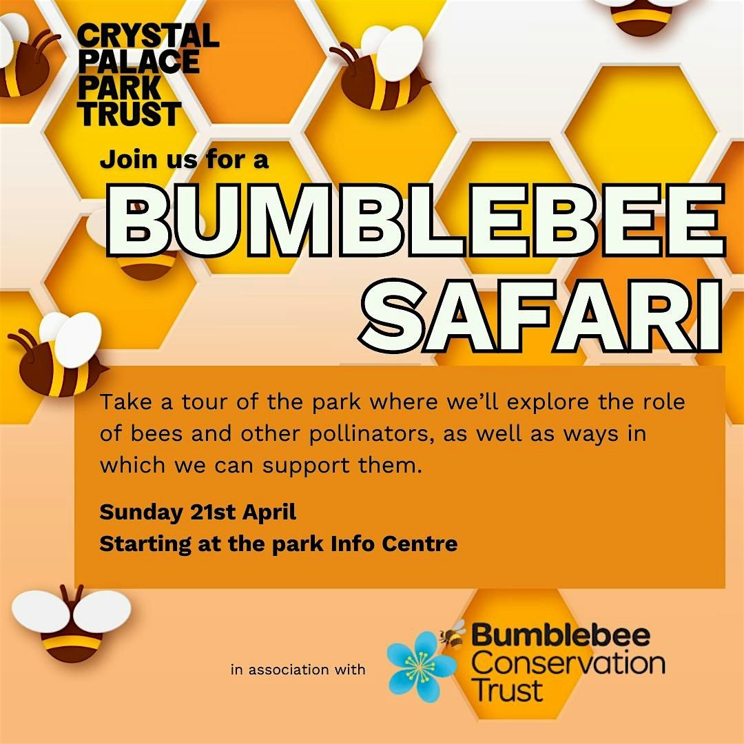 Earth Day 2024: Bumblebee Safari
