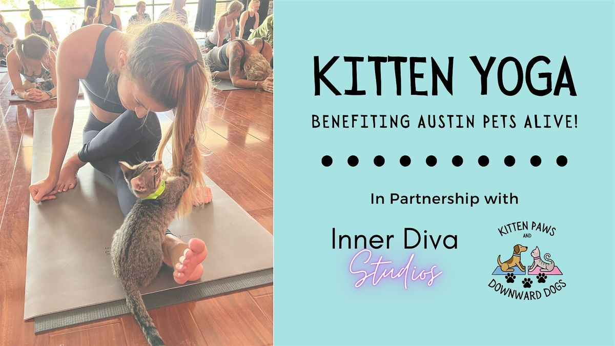 Kitten Yoga benefitting Austin Pets Alive!