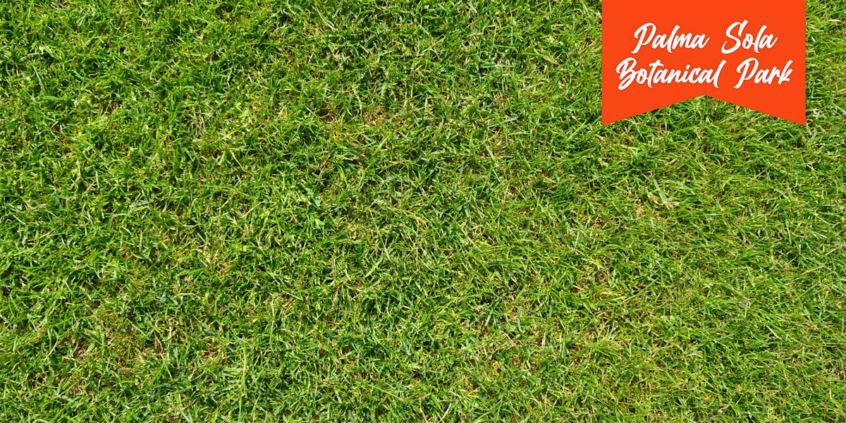 Turf Therapy: Managing Your Turf and Your Expectations