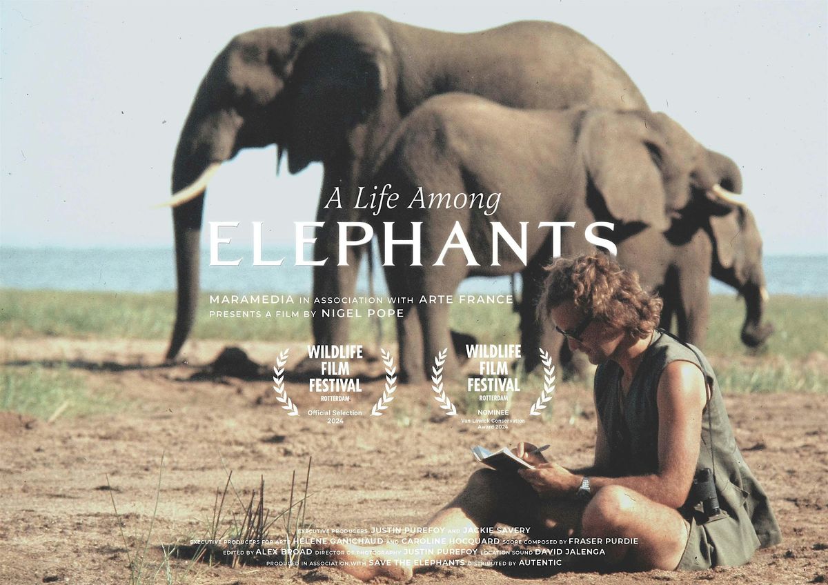 A Life Among Elephants