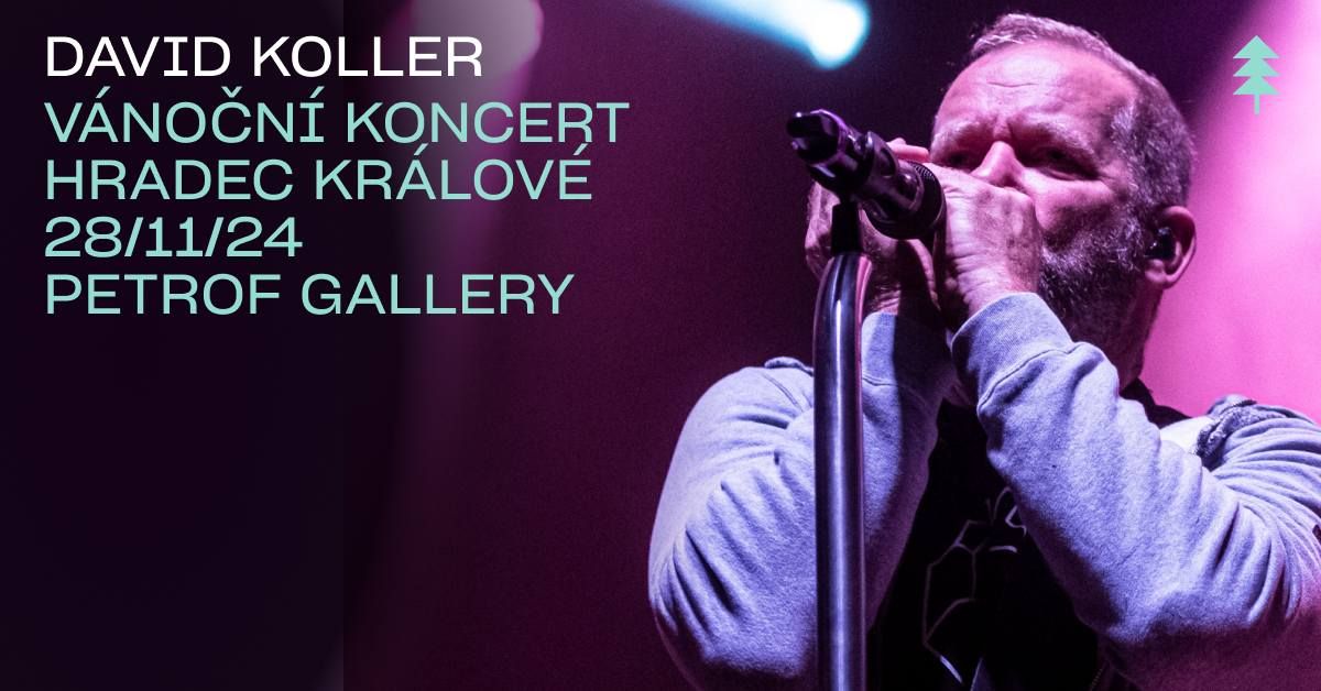 David Koller - V\u00e1no\u010dn\u00ed koncert 2024 - Hradec Kr\u00e1lov\u00e9 \/\/ Petrof Gallery