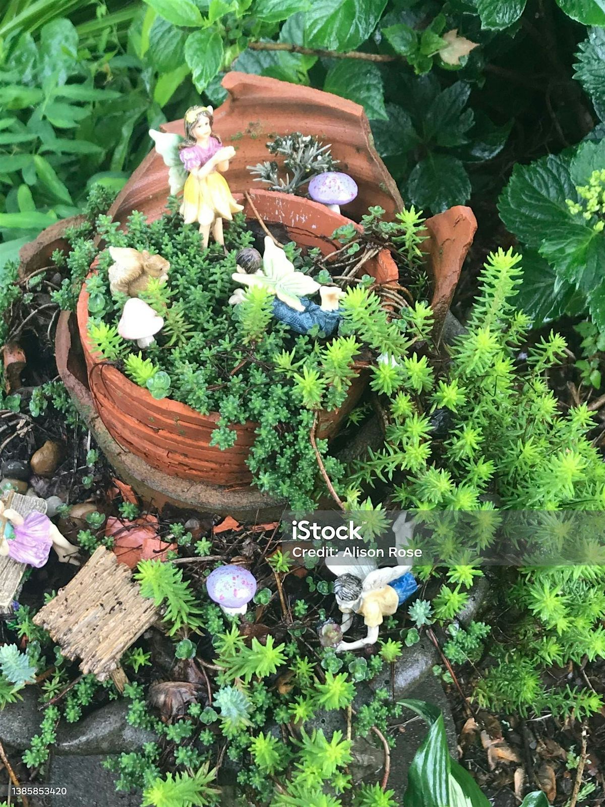 Make a Fairy Garden