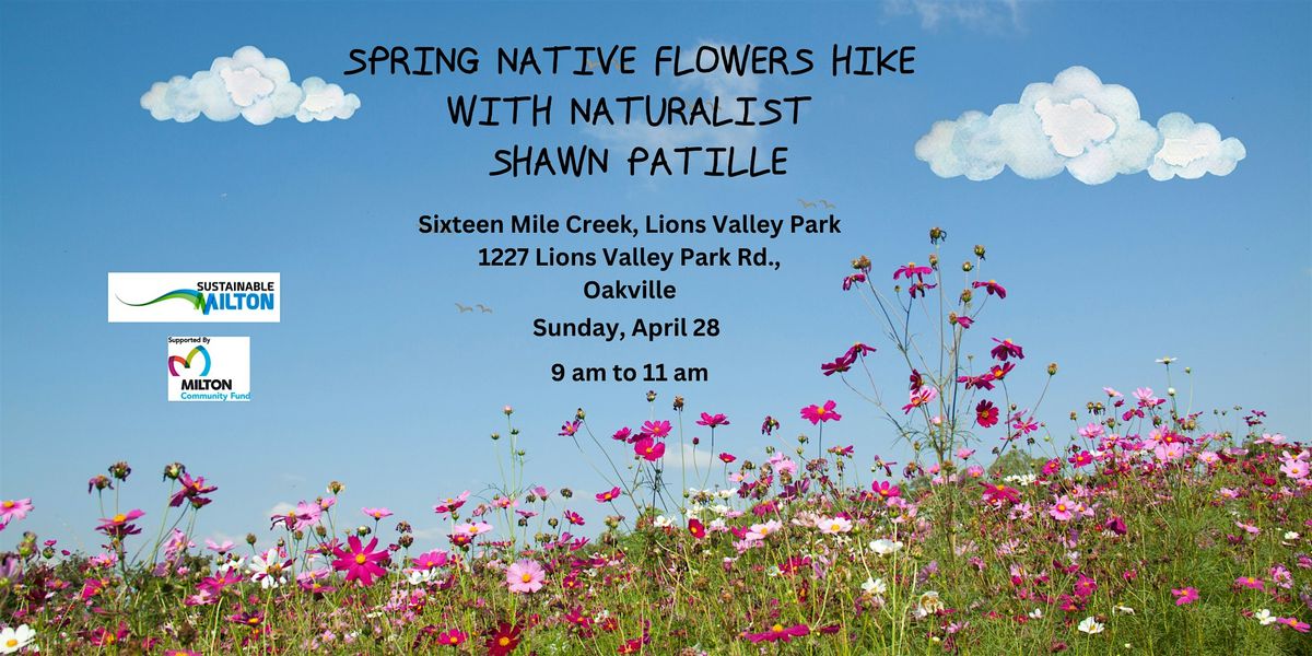 Spring Native Flowers Hike