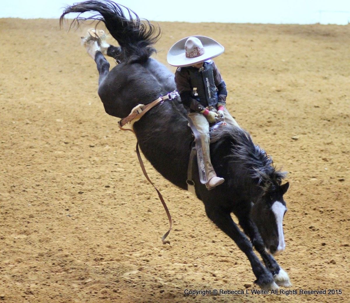 Heritage of Mexico Rodeo