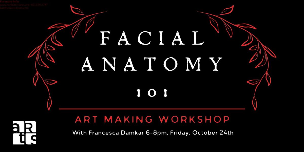 Facial Anatomy 101: A pencil and color pencil workshop