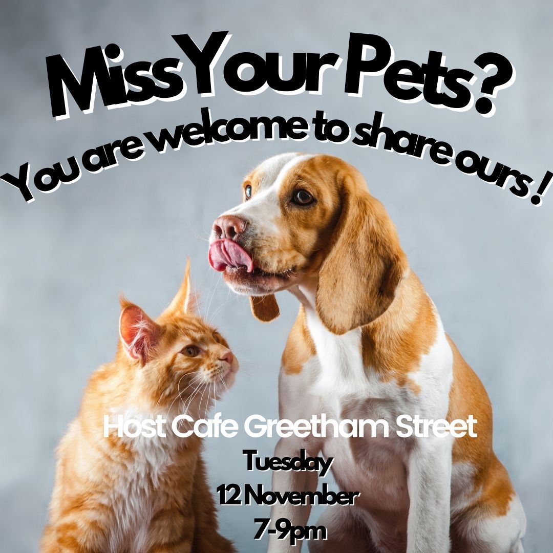 Miss your pets? meet ours