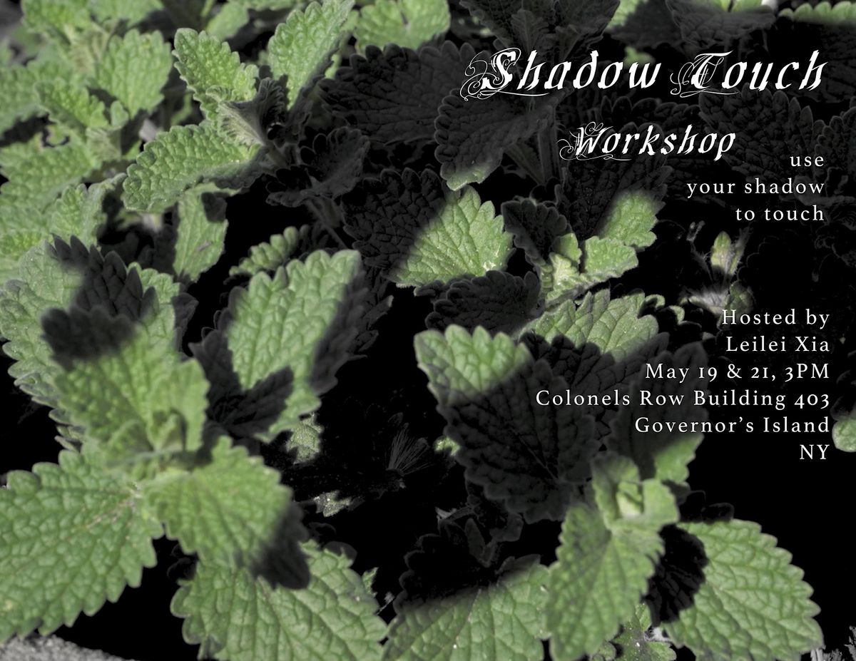 Shadow Touch Workshop (Sunday)