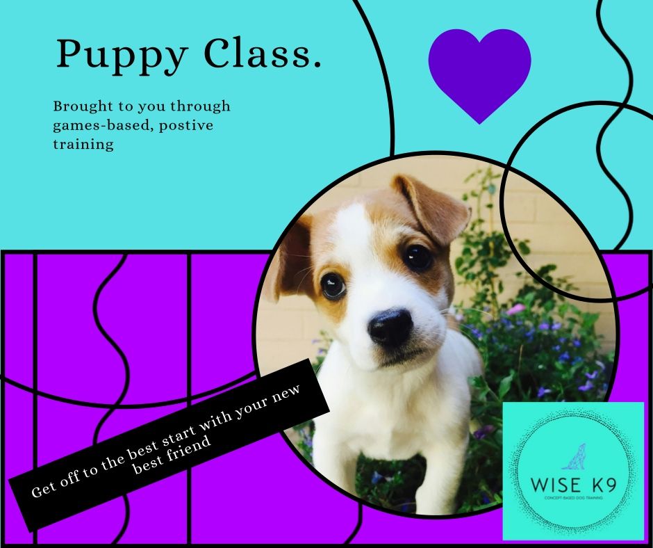 Puppy Class and Adventures (6 week course)