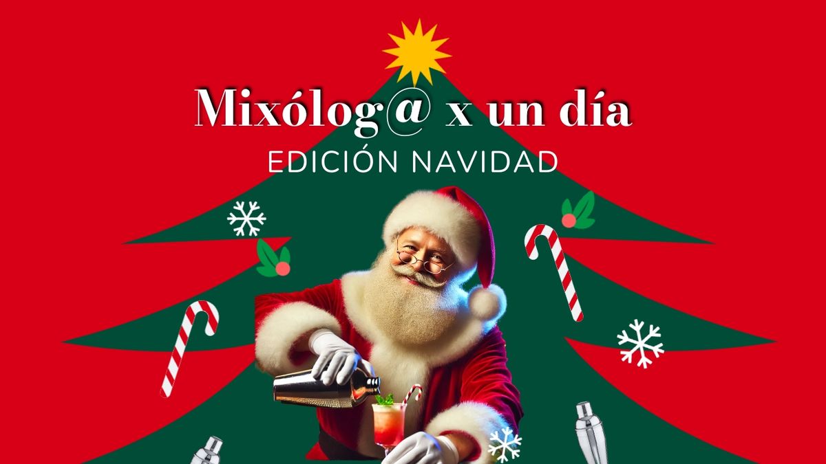 Mixolog@ por un d\u00eda Edici\u00f3n Navidad