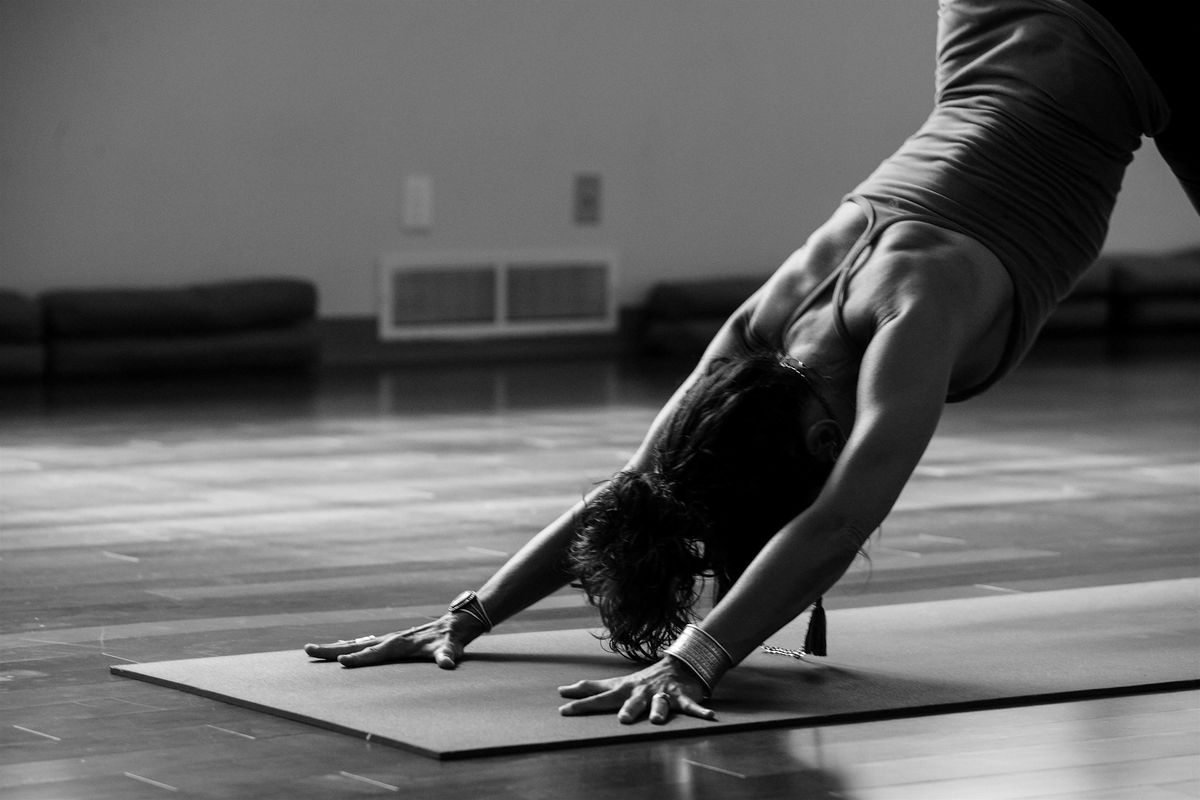 Slow and  Sultry - Yoga w\/ Chandra Swenson