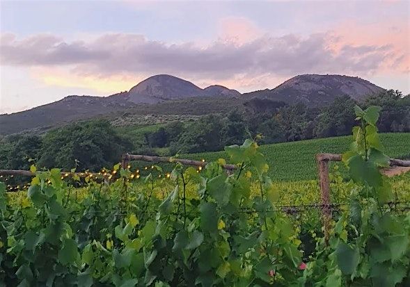 Longtable in the Vineyard