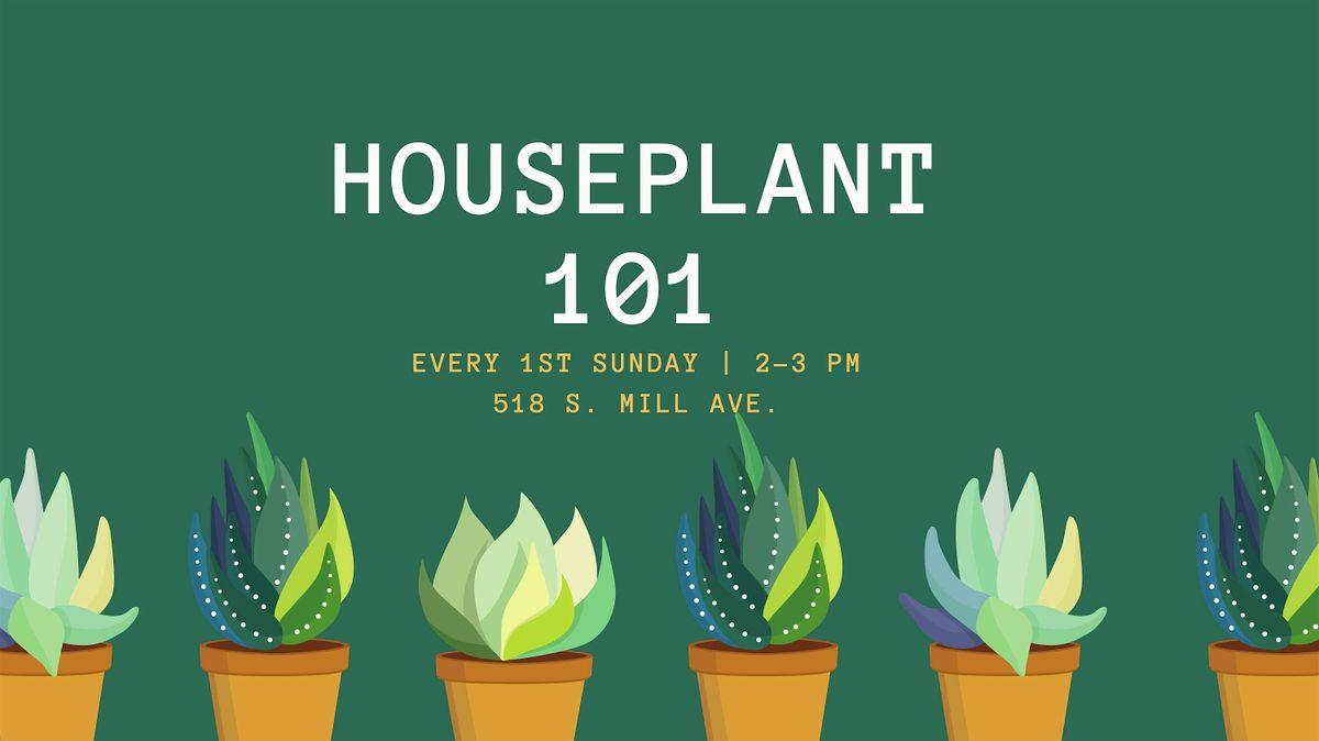 Houseplant 101 | Monthly