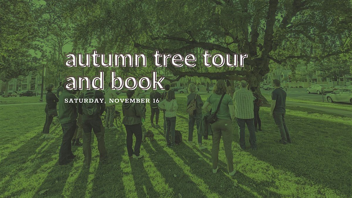 Autumn Tree Tour and Book