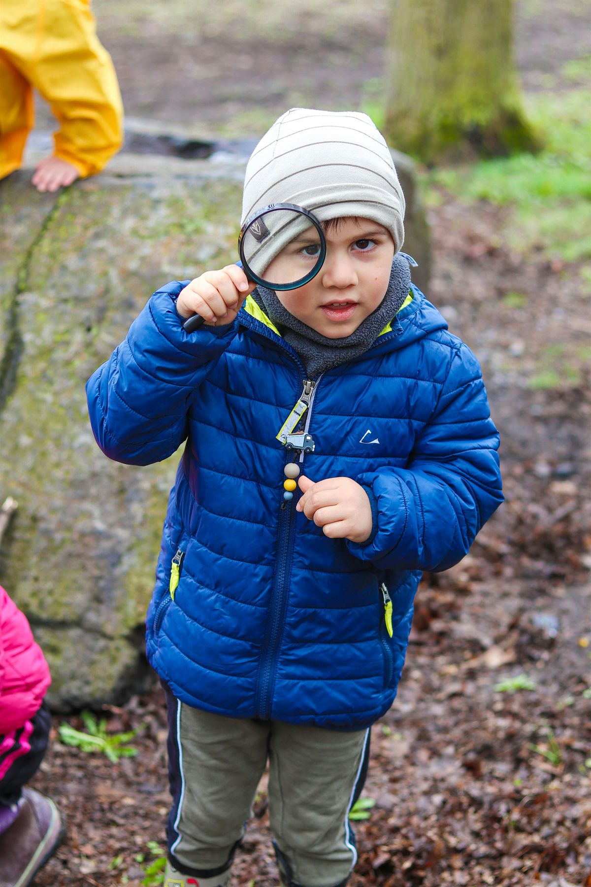 Activit\u00e9 en nature sur le Mont-Royal : Automne