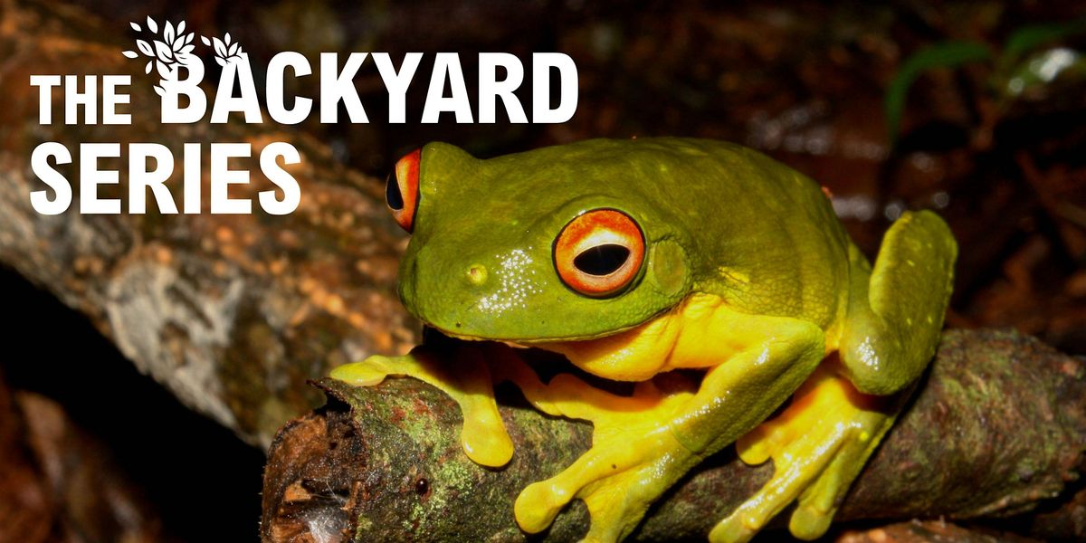 The Backyard Series: DIY Frog Hotels