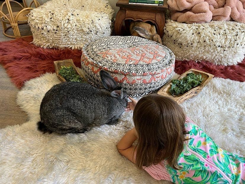 Kids Yoga Workshop - With Bunnies and Pups