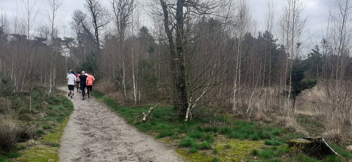 Rondje vanuit de Vresselse Hut (16\/18 km)