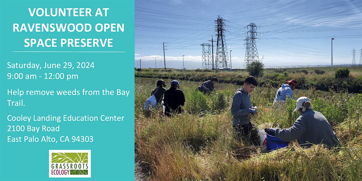 Outdoors in East Palo Alto: Volunteer at Ravenswood Preserve