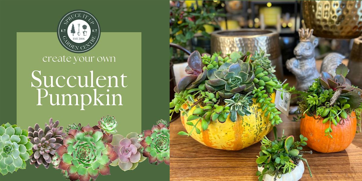 Succulent Pumpkin Workshop