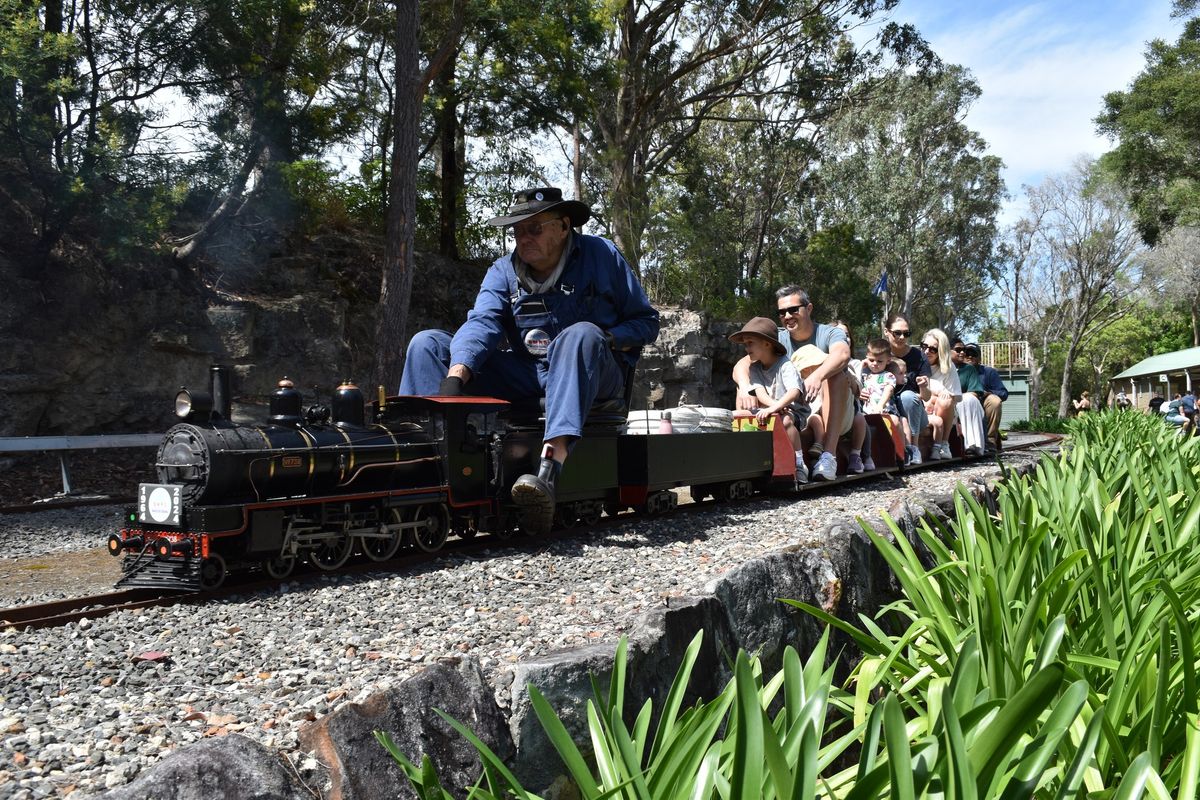 Wascoe Siding Miniature Railway \u2013 2nd February 2025 running day. Bookings not required!