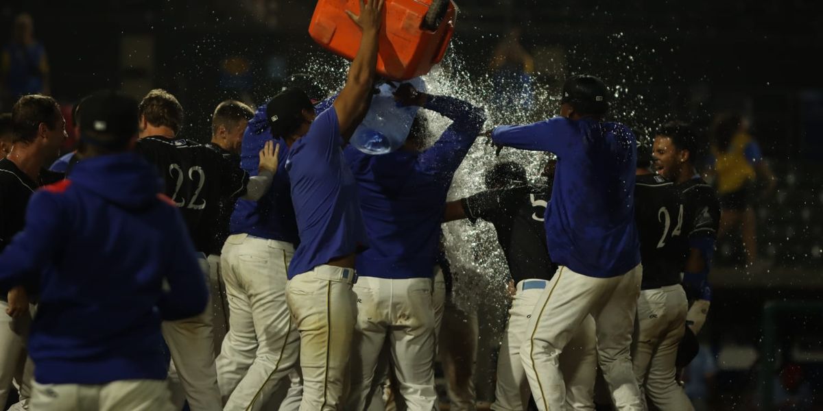 Fredericksburg Nationals at Myrtle Beach Pelicans