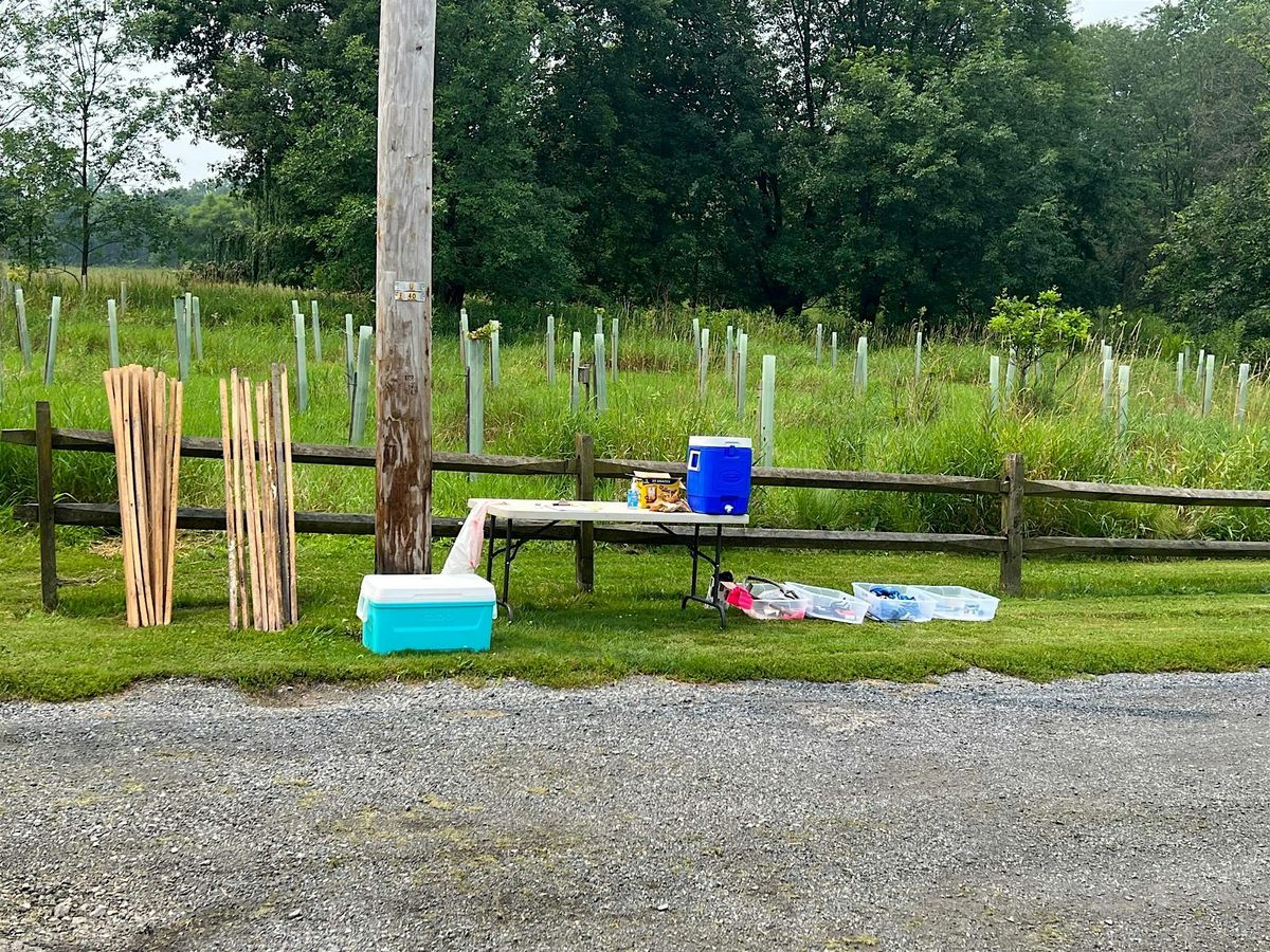 Fall Buffer Maintenance at Boathouse Park