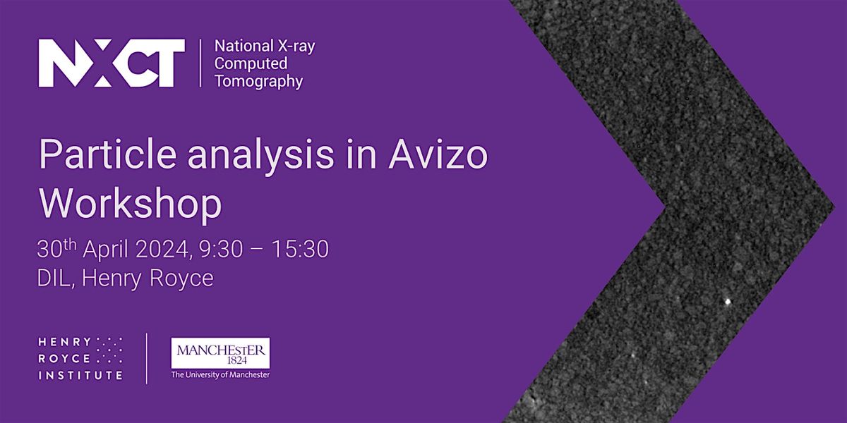 In-person course: Particle analysis in Avizo & producing video