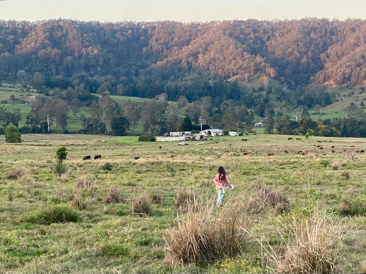 Afterlee Ecovillage Info Session - Lismore