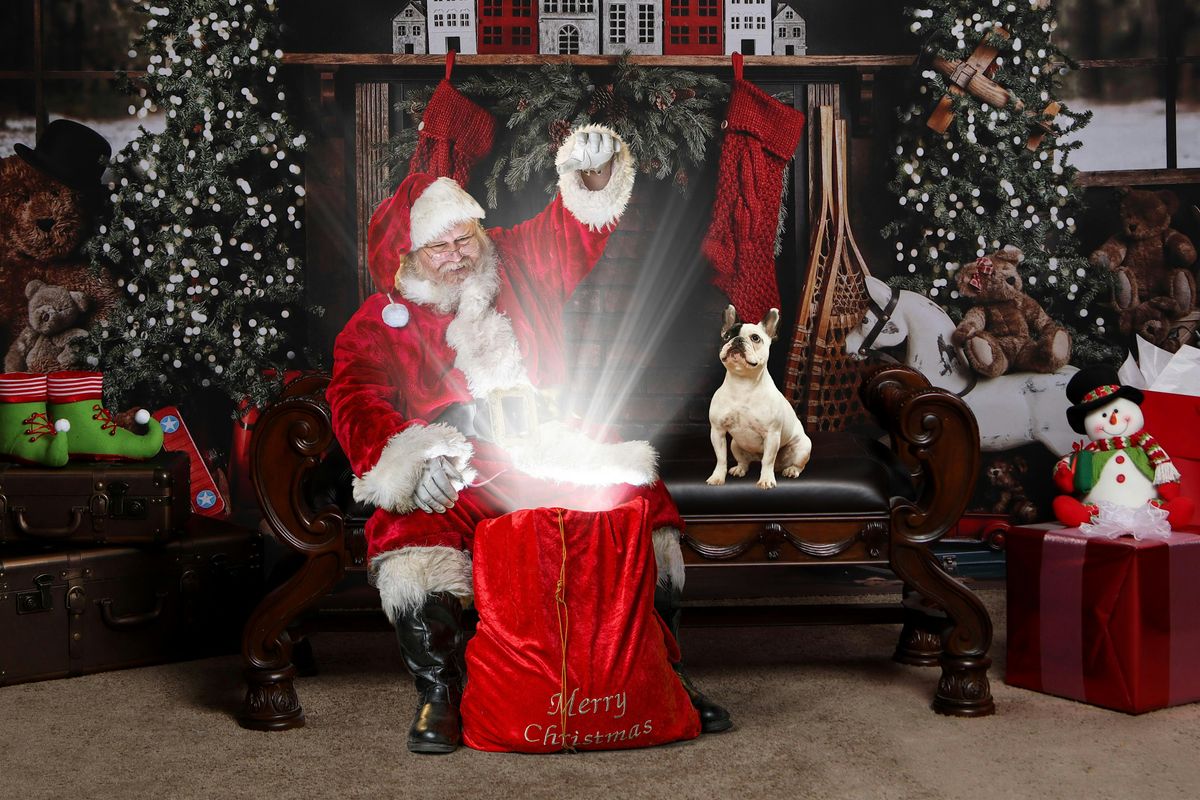 Santa Pet Photography