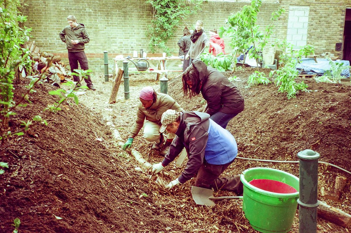 Urban Forest Gardening