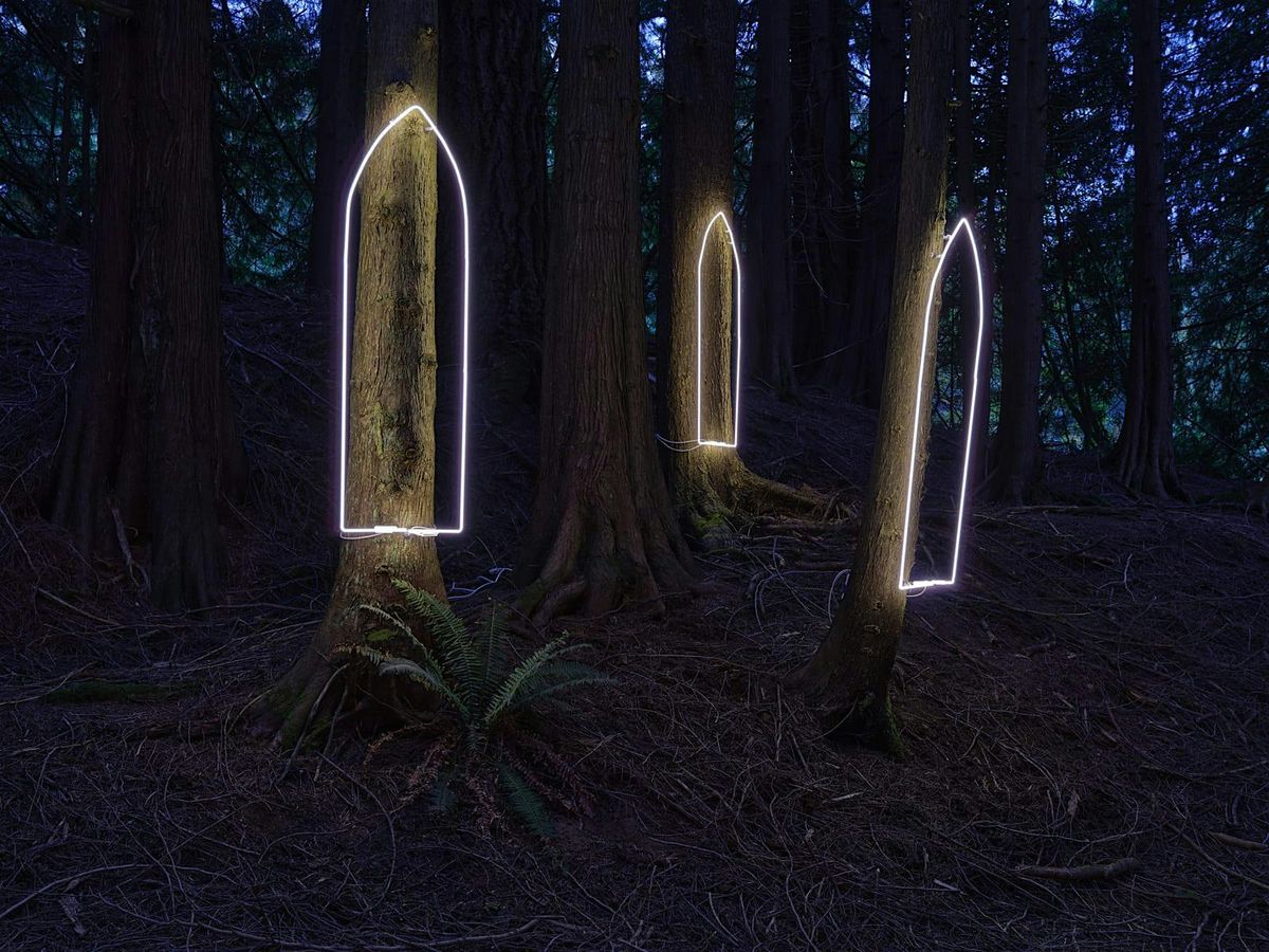 Light the Forest \u2013 Neon Installation Tour