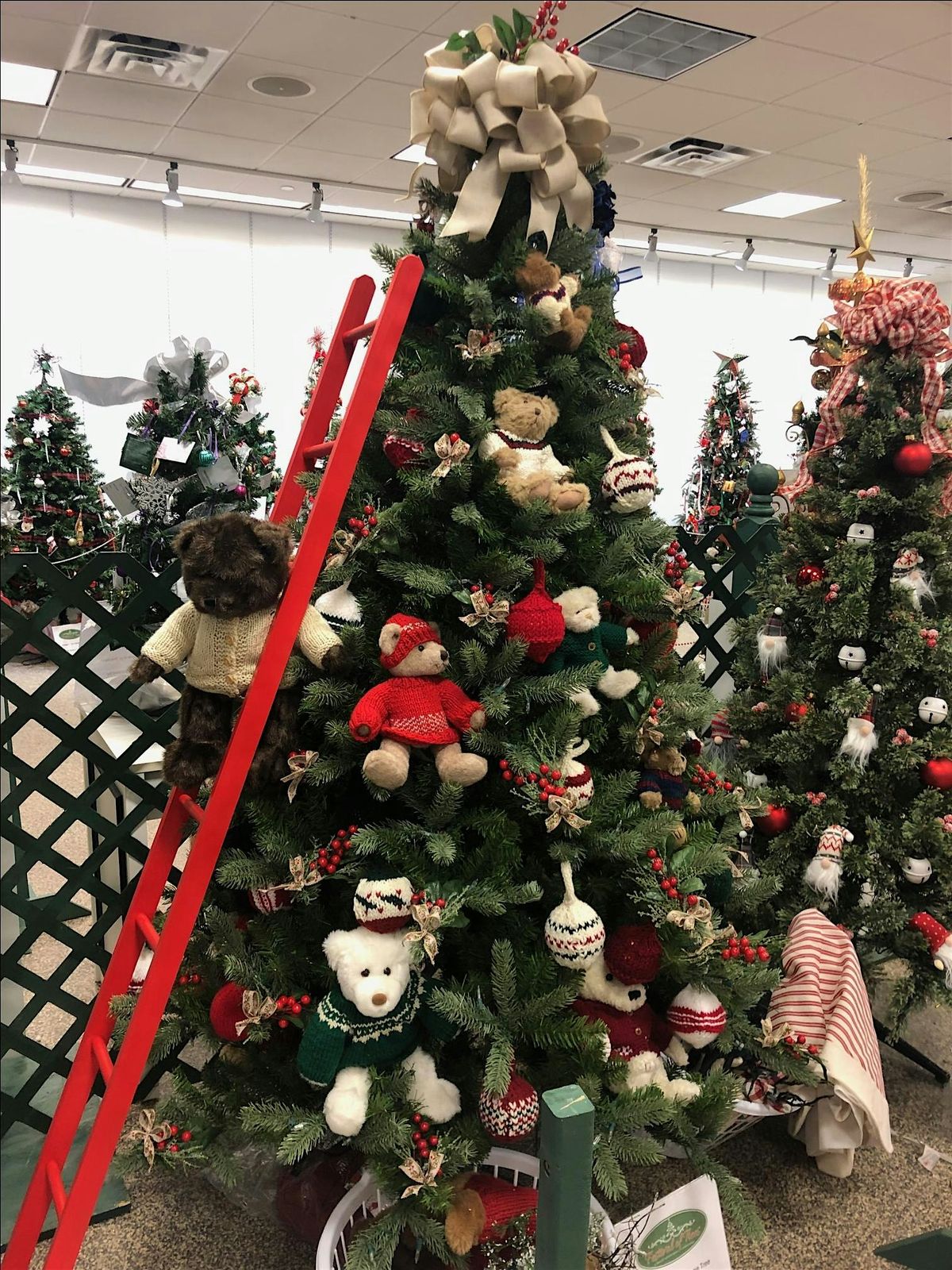 Carroll County RSVP's 9th Annual Festival of Trees at Settlers Green