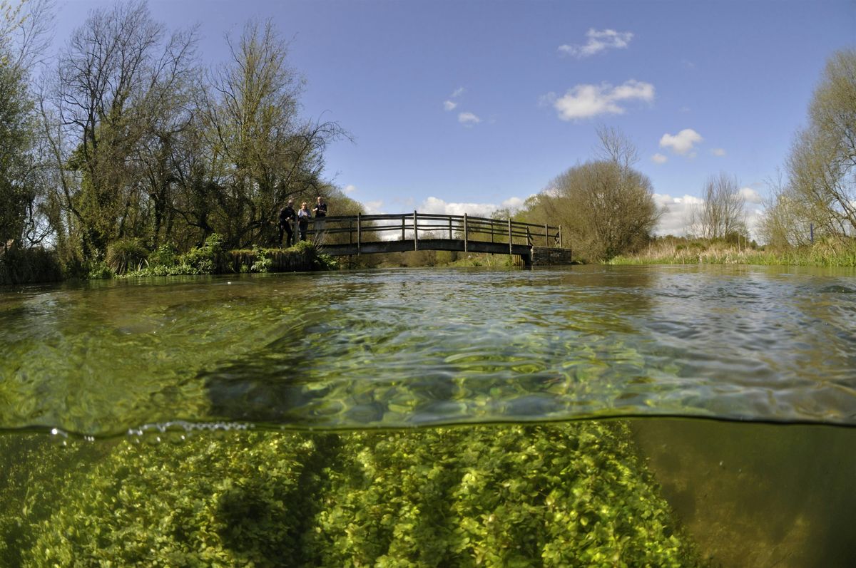 Local Volunteer Event: River Action, On a Mission to Rescue Our Rivers