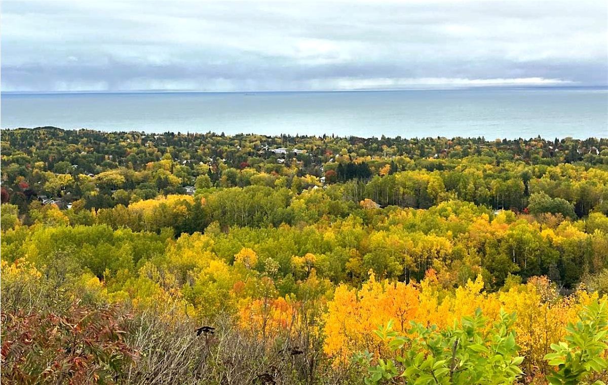 Everyone Can Bird: Fall Migration at Hawk Ridge