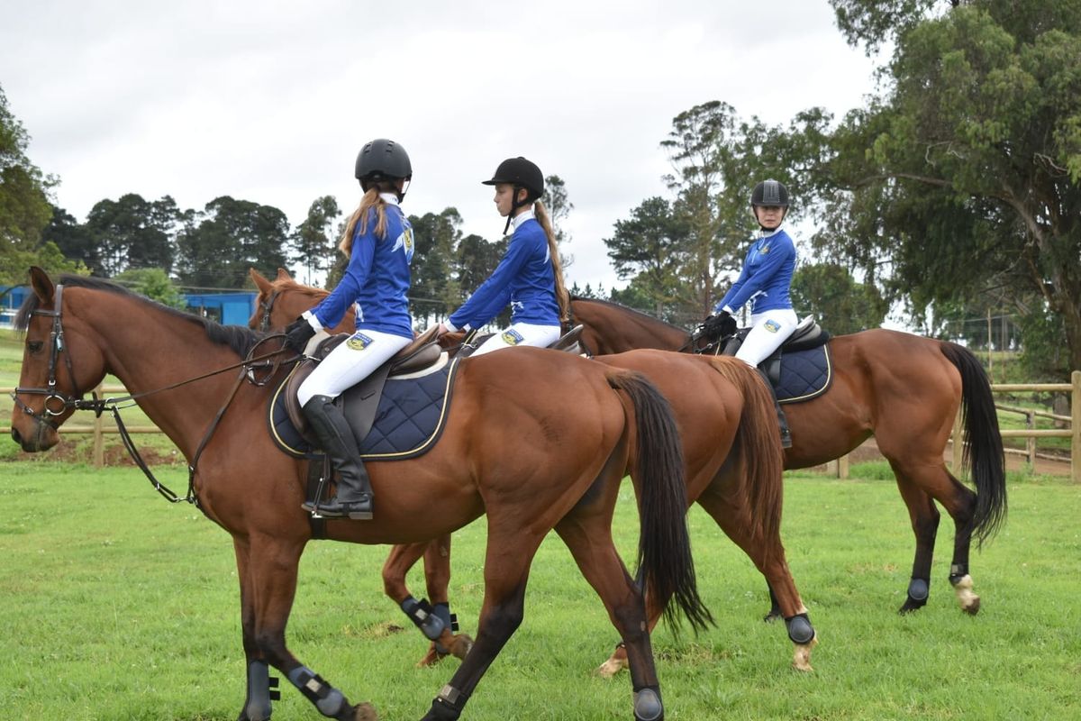 Wembley Pony Camp