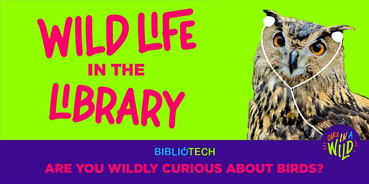 Wild Life in the Library - Birds