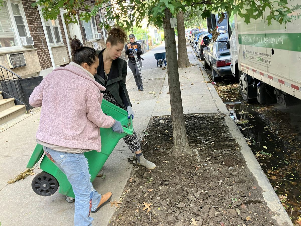 Street Tree Care w\/ Sunnyside Shines BID