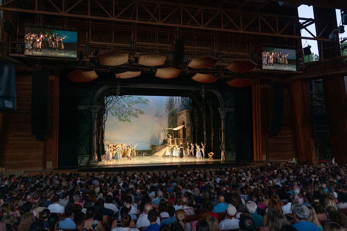 Swan Lake - Minneapolis